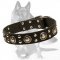 German Shepherd Chic Studded Leather Dog Collar