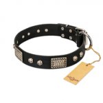 "Pirates Gold" FDT Artisan Black Leather German Shepherd Collar with Old Silver Look Plates and Skulls