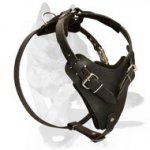 LEATHER AGITATION HARNESS for German ShepherdS