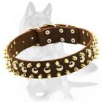 Spiked and Studded Dog Collar for powerful German Shepherd