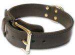 Heavy 2-Ply leather dog collar for German Shepherd