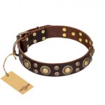 'Flower Melody' FDT Artisan GSD Brown Leather Dog Collar with Mixed Studs