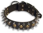 GSD STUDDED Shepherd Black dog collar 19 inch/19'' collar-S55