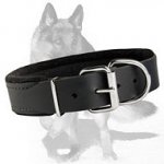 Padded Leather Collar for German Shepherd