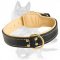 Rich Nappa padded leather collar