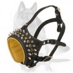 'The Invader' - Superb German Shepherd Muzzle with Metal Decoration