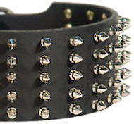 Spiked Leather Dog Collar for German Shepherd