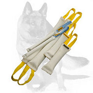 German Shepherd Fire Hose Bite Tugs -Training Set