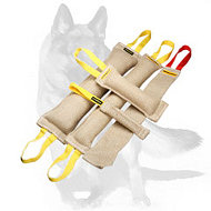 German Shepherd Adult Dog Training Set