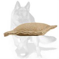 Puppy Jute Bite Tug Without Handles