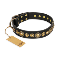'Gold Mine' FDT Artisan German Shepherd Black Leather Dog Collar with Amazing Bronze-Plated Round Studs