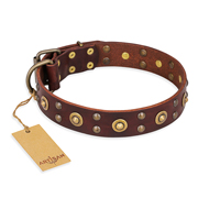 'Caprice of Fashion' FDT Artisan German Shepherd Brown Leather Dog Collar with Round Decorations