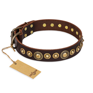 'Ancient Warrior' German Shepherd Brown Leather Dog Collar
