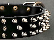 Canine Deluxe Spiked Leather Dog Collar for German Shepherd