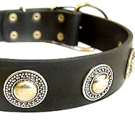Deluxe Leather Dog Collar with jewelry for German Shepherd
