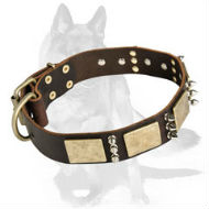 Genuine Leather Collar with Luxury Brass Plates and Nickel Spikes