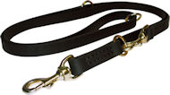 Dog Leash Training for German Shepherd -Training Lead