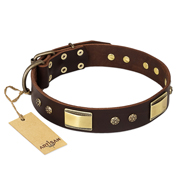 FDT Artisan 'Rich Fashion' Decorated Leather German Shepherd Collar with Plates and Studs - 1 1/2 inch (40 mm) wide