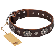 'Extra Pizzazz' FDT Artisan Adorned Brown Leather German Shepherd Collar