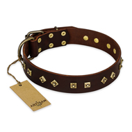 'Fashion Studs' FDT Artisan Brown Leather German Shepherd Collar with Old Bronze-Plated Steel Hardware 1 1/2 inch (40 mm) Wide