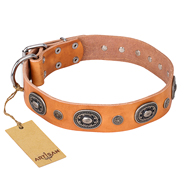 'Twinkle Twinkle' FDT Artisan Incredible Studded Tan Leather German Shepherd Collar with Silver-Like Circles