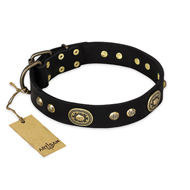 'High Fashion' FDT Artisan Studded with Plates Black Leather German Shepherd Collar