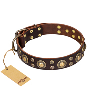 'Flower Melody' FDT Artisan GSD Brown Leather Dog Collar with Mixed Studs