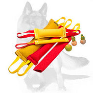 Excellent German Shepherd Training Set