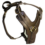 GERMAN SHEPHERD Padded Dog Harness H10