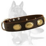 Gorgeous Vintage Leather Collar for German Shepherd Dog