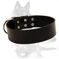 Gorgeous Wide Leather Dog Collar for German Shepherd