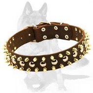 Spiked and Studded Dog Collar for powerful German Shepherd