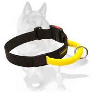 All-weather Nylon Dog Collar with Quick Release Buckle