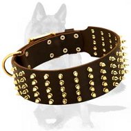 Stunning Dog Collar with five rows of Brass Spikes