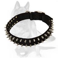 Black Nylon Dog Collar with 2 rows of Shiny Spikes