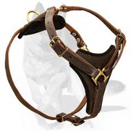 ‘Sky Fall’ Superb Design Tracking/Walking German Shepherd Dog Harness