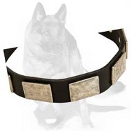 Incredibly beautiful Leather Dog Collar with Vintage Nickel Plates