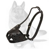 'Go Buddy Transformation' - Super Comfy Muzzle for German Shepherd