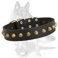 German Shepherd Leather Collar with Brass truncated cones