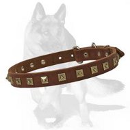 Handcrafted Leather Dog Collar With Brass Studs