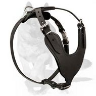 Superior Leather Dog Harness for German Shepherd