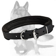 Padded Leather Dog Collar with thick felt 1 inch (25 mm) in width