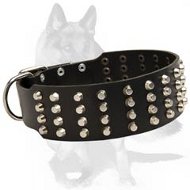 Wide Studded Leather Dog Collar for German Shepherd