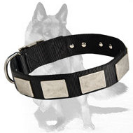 German Shepherd Dog Nylon Collar With Massive Vintage Plates