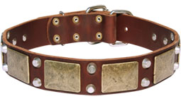 Vintage Leather Mastiff Collar with Golden-like Plates and Cones