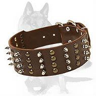 German Shepherd Spiked and Studded Leather Collar