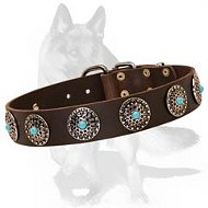 Posh Leather Dog Collar with Silver Plated Circles and Blue Stones