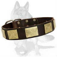 Gorgeous leather German Shepherd collar with massive plates