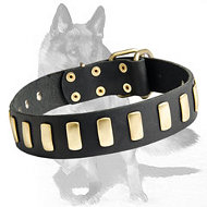 Wide Leather Dog Collar With Plates