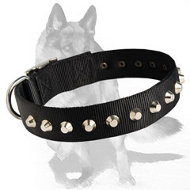 Gorgeous Wide Nylon Dog Collar With Nickle Pyramids